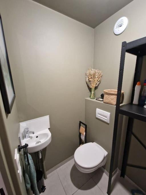 Casa Rosa T3 Centre Ville Thonon-les-Bains Dış mekan fotoğraf